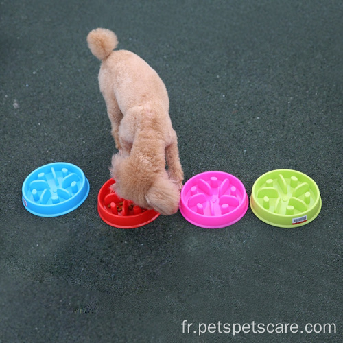 Bol de chiens à manger lent en gros à manger lent lent